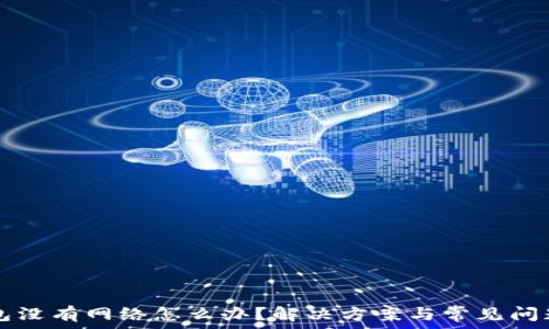   
TP钱包没有网络怎么办？解决方案与常见问题解析