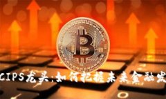 与关键词数字货币CIPS龙头：如何把握未来金融发